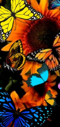 This phone live wallpaper is a delightful pop art rendition of a sunflower surrounded by lively butterflies