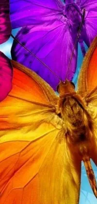 This live wallpaper will jazz up your phone thanks to its macro photo of two butterflies, with their colorful wings on display against a blurred background of green foliage