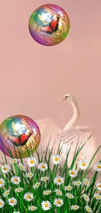This phone live wallpaper displays a stunning white swan on top of a lush green field