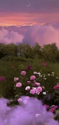 This beautiful live phone wallpaper showcases a picturesque field filled with an abundance of pink and white flowers