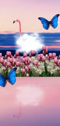 This live wallpaper features an enchanting scene of pink flamingos and blue butterflies in a field of tulips