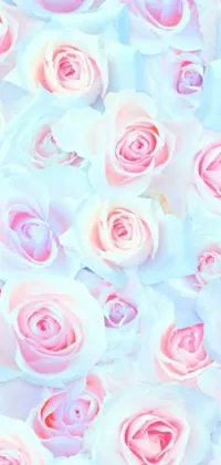 This phone live wallpaper boasts a stunning image of pink and white roses arranged in a tumblr-like fashion against a white and pale blue background