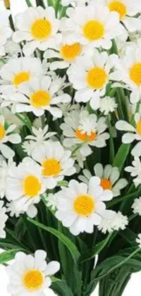 This live wallpaper is adorned with white and yellow flowers arranged in a vase, resting on a bed of daisies