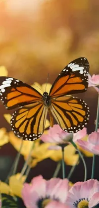 This live wallpaper depicts a stunning butterfly perched gracefully on a bed of bright and colorful flowers