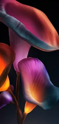 This stunning live wallpaper features a beautiful tulip in gradient colors on a black background