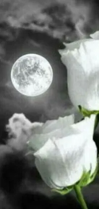 This live wallpaper portrays a serene and romantic scene with three white roses against a full moon background