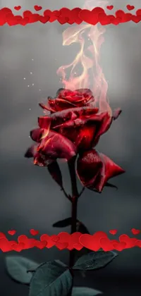This phone wallpaper showcases a vibrant red rose emitting smoky tendrils set against a black backdrop with fiery accents