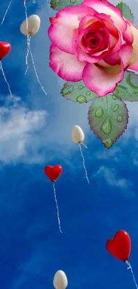 This romantic live wallpaper depicts a colorful bunch of balloons carrying a beautiful rose as they fall from the sky