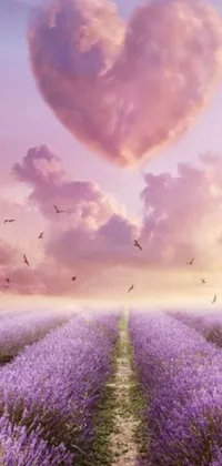 This delightful phone live wallpaper displays a surreal field of lavender in the background with a heart-shaped cloud floating in the sky
