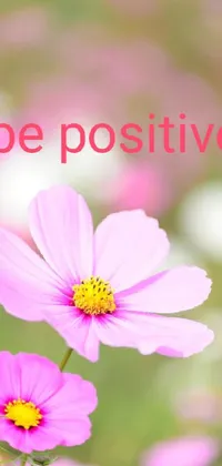 This phone live wallpaper theme features a vibrant pink flower and the inspiring words, "be positive"