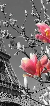 Transform your phone screen into a work of art with this elegant live wallpaper featuring a black and white photograph of Paris's iconic Eiffel Tower