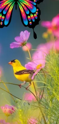 This lively phone wallpaper showcases a yellow bird resting on a pink flower
