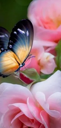 This phone live wallpaper showcases a vibrant flower with a butterfly perched on a petal, set against a colorful picture backdrop