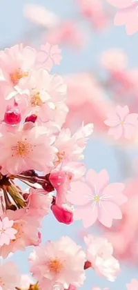 This stunning live wallpaper features a bunch of pink flowers, capturing the beauty of nature