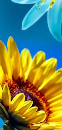 This phone wallpaper features a sunny close-up of a sunflower against a blue sky in digital art