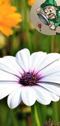 This live phone wallpaper features a white and purple giant daisy flower with a unique sticker