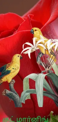 Enjoy a stunning phone live wallpaper of two birds perched on a red rose in this beautifully illustrated artwork