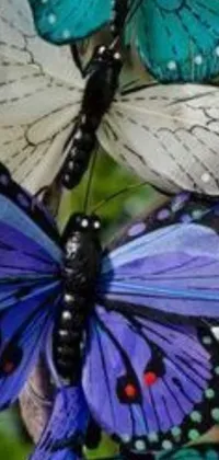 This phone live wallpaper depicts a group of blue and white butterflies perched on a plant with black, blue, and purple tones
