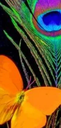 This phone live wallpaper boasts an orange butterfly perched on a peacock feather, surrounded by flickering black light-inspired psychedelic art
