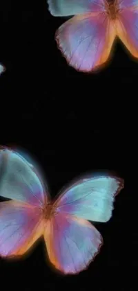 This phone live wallpaper features a group of butterflies beautifully fluttering against an ethereal hologram center, creating a serene ambiance