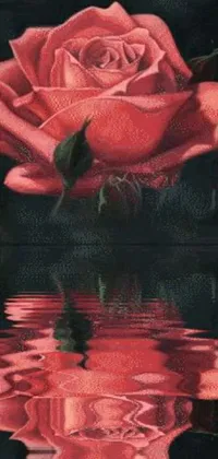 Nature Flower Red Live Wallpaper