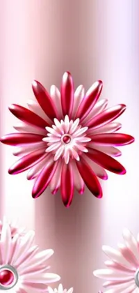 This phone live wallpaper showcases a gorgeous bouquet of pink flowers arranged in a neat row against a shiny backdrop