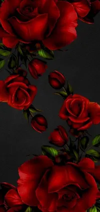 Enhance your phone's visual appeal with this stunning digital art live wallpaper! Featuring a bouquet of red roses against a sleek black background, this wallpaper is a work of art with long, flowing petals that provide an elegant touch