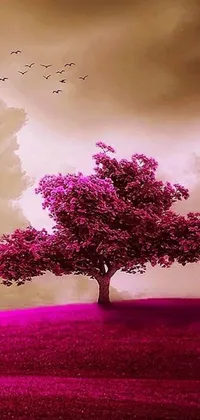 Transform your phone with this stunning live wallpaper featuring a beautiful pink tree situated atop a lush green field