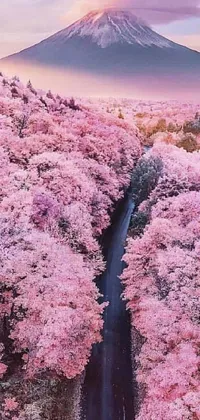 Nature Flower Tree Live Wallpaper
