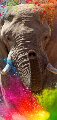 This colorful phone live wallpaper showcases a breathtaking, up-close shot of an African elephant covered in vibrant powders, standing in a river adorned with an array of colors