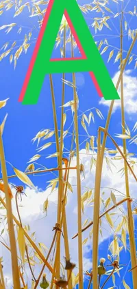 This live wallpaper for your phone showcases a captivating image of a poster displaying the letter "a" among tall reeds on a riverbank, brought to life with a colorized background and striking perspective