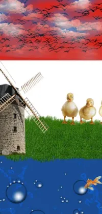 This phone live wallpaper features a beautifully designed windmill situated on a green field with ducks and chicks