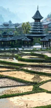Transform your phone screen into a serene rice field with an enchanting pagoda in the background with this live wallpaper
