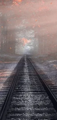 Welcome to a surreal live wallpaper featuring a hypnotic train track cutting through a dense and misty forest