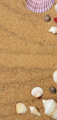 This phone live wallpaper features a stunning red starfish set atop a sandy beach