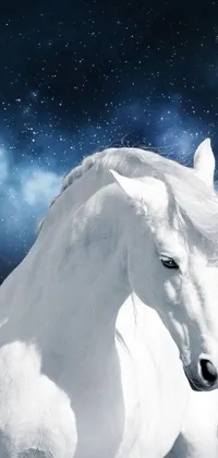 This live wallpaper depicts a stunning white horse standing on a lush green field under a clear night sky with twinkling stars