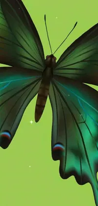 Nature Leaf Arthropod Live Wallpaper