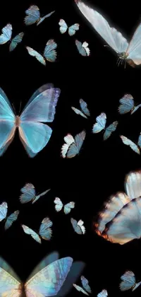 This phone live wallpaper features a stunning display of black, gold, and light blue butterflies