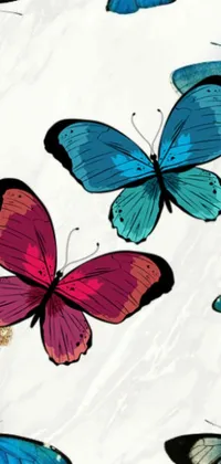 Decorate your phone with Mandy Jurgens' blue and pink butterfly live wallpaper