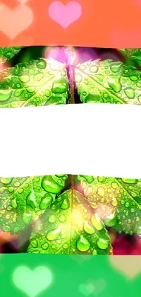 Nature Leaf Light Live Wallpaper