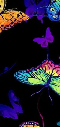 This stunning live wallpaper for your phone boasts a beautiful array of bright, multi-colored butterflies set against a jet black background