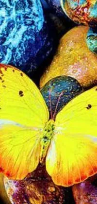 This phone live wallpaper showcases a colorful butterfly perched on rocks, featuring a unique and eye-catching design with stipple, flickr, and pop art elements