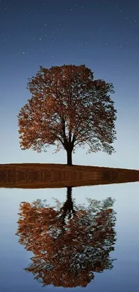 Nature Leaf Reflection Live Wallpaper