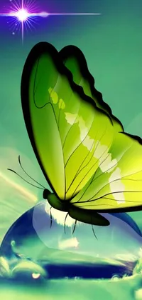 This phone live wallpaper displays a green butterfly enjoying the top spot of a water droplet in a beautiful digital art piece by a DeviantArt artist