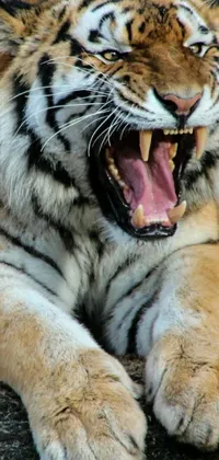 Nature Light Bengal Tiger Live Wallpaper