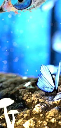 This live phone wallpaper presents a captivating close-up of an elegant butterfly perched on a vibrant mushroom, enveloped by soft blue illuminations and glistening glitter