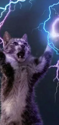 This phone wallpaper showcases a fierce cat standing up on its hind legs, poised against a dramatic lightning-filled backdrop