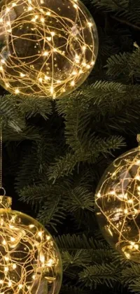 This live phone wallpaper features three Christmas ornaments hanging from a holiday tree