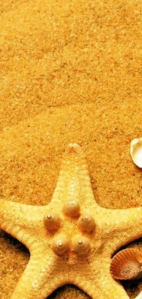 Enhance your smartphone with a mesmerizing live wallpaper, featuring a gorgeous starfish resting on a sandy beach