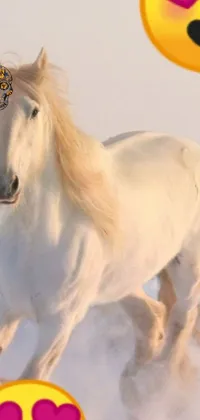This phone live wallpaper features a stunning white horse running through a snowy field, exuding both grace and power